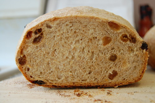 golden raisin bread crumb