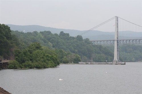 Swan in the Hudson near the Bear Mountain Bridge