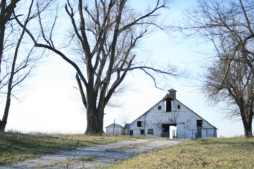 the  barn