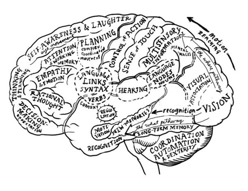 Brain map