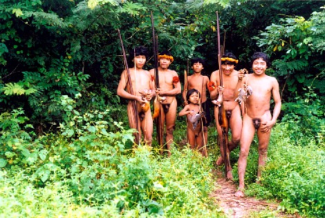 Indigenas Awá (Brasil) foto Fiona Watson, Survival