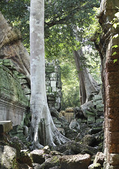 Tomb raider temple