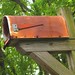DePew House mailbox
