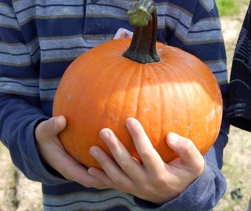 pumpkin picked