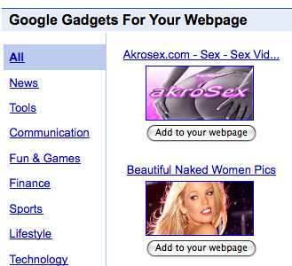 More Google Gadget Porn