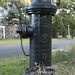 Black fire hydrant