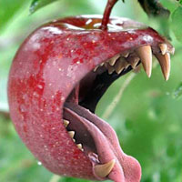 bite_of_apple