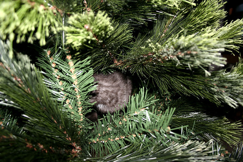 Winnie Christmas Tree 4