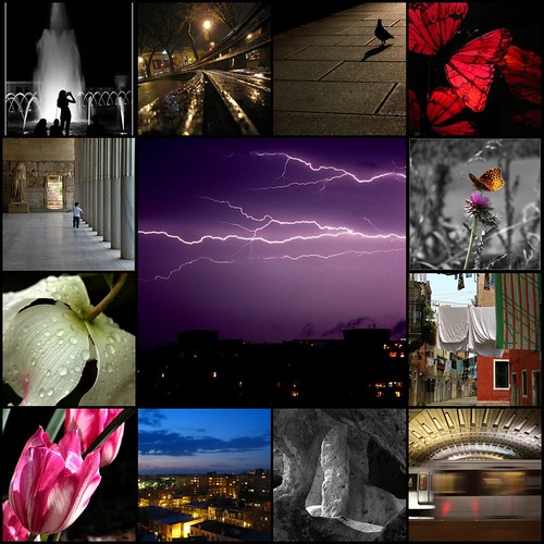 Most Interesting Pics 6/20/2008