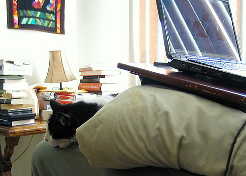 Dude sleeping nearby
