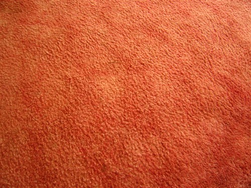 Carpet at The Pines