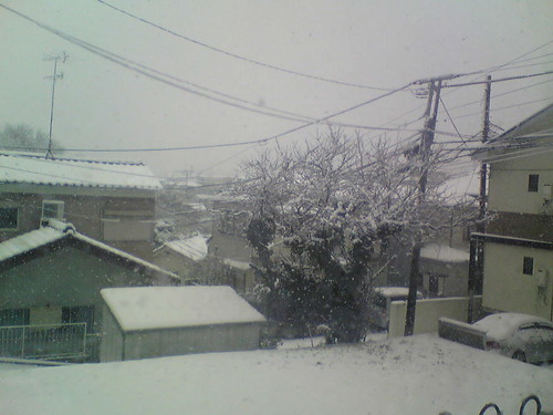 winter in Yokohama