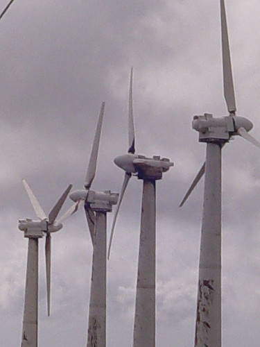 wind farm old