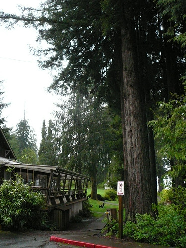 Lake Quinalt Lodge