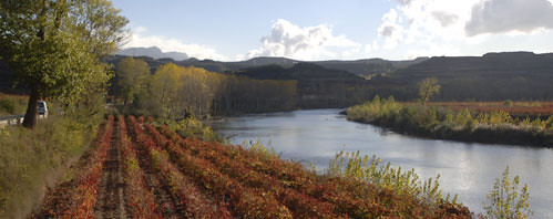 paisaje de la rioja alavesa