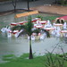 Party canceled after heavy downpour