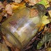 Old milk bottle in the woods
