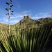 Cactus, Agave, and Butte