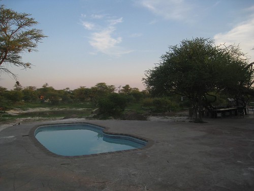 The watering hole and pool at Elephant Sands