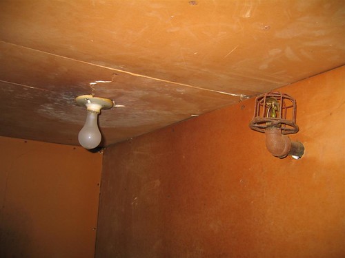 Exposed incandescent bulb and sprinkler head