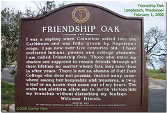 Famous Friendship Oak Survives Again