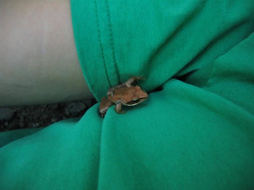 Armpit frog