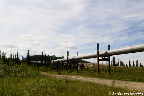 The Pipeline