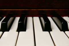 Anglų lietuvių žodynas. Žodis pianos reiškia pianinai lietuviškai.