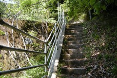 ���J�썻�h����