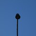 Old incandescent lamp post