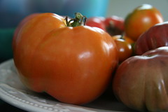 tomatoes 5