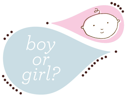boy or girl?