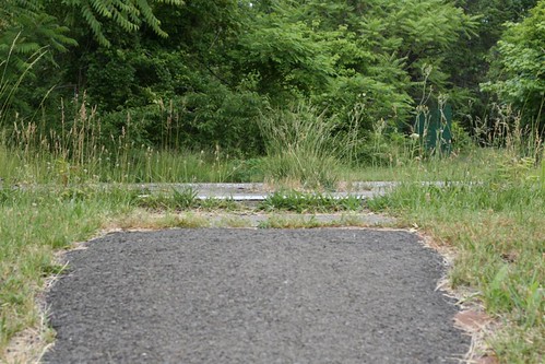 Weeds poke through a concrete pad