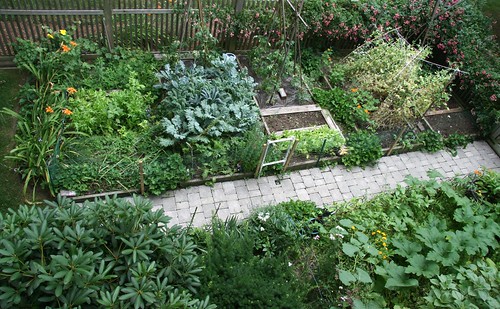 home garden July 14, 2008