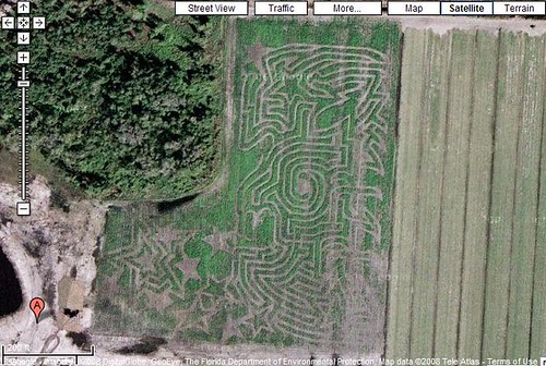 Long Scotts Farm Corn Maze