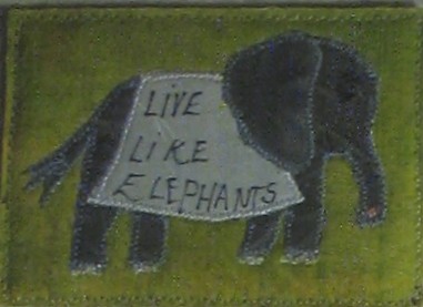 Live Like Elephants AT