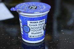 TJ Greek Style Yogurt - blueberry.jpg