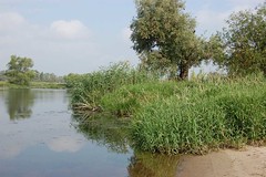 river Havel in Strodehne