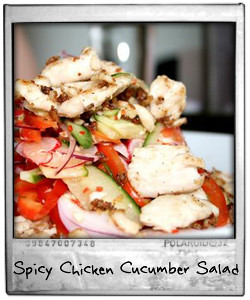 Spicy Chicken and Cucumber Salad