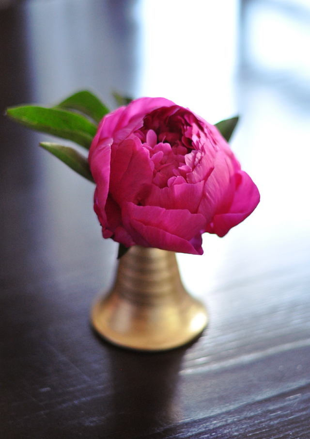 pink peony in gold vase