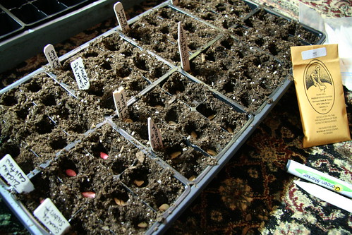 seed tray