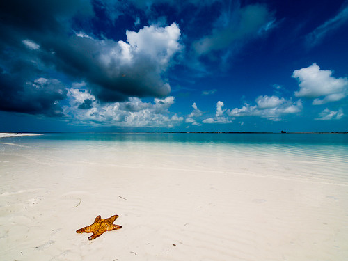 Playa paradiso with starfish
