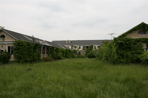 Overgrown backyard of Whitman building