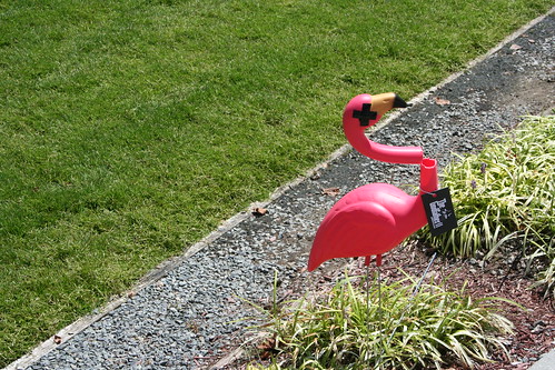 dead pink flamingos