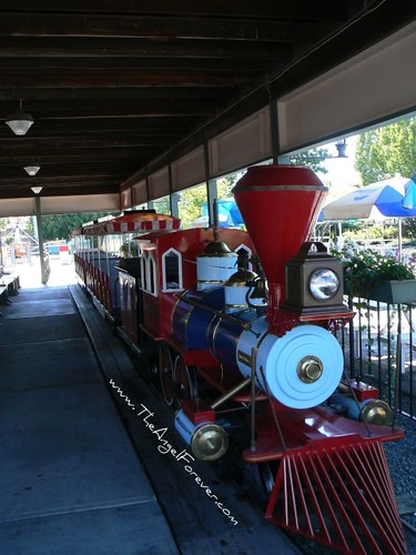Train before the park opened