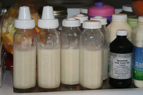 Storing Homemade Organic Baby Formula in the Fridge