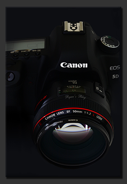 Canon EOS 5D Mark II (gray)(revised)