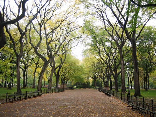 the estate of things chooses central park in fall