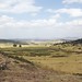 Landscape Near Axum, Ethiopia