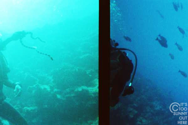 Scuba diving, Fiji, 2004